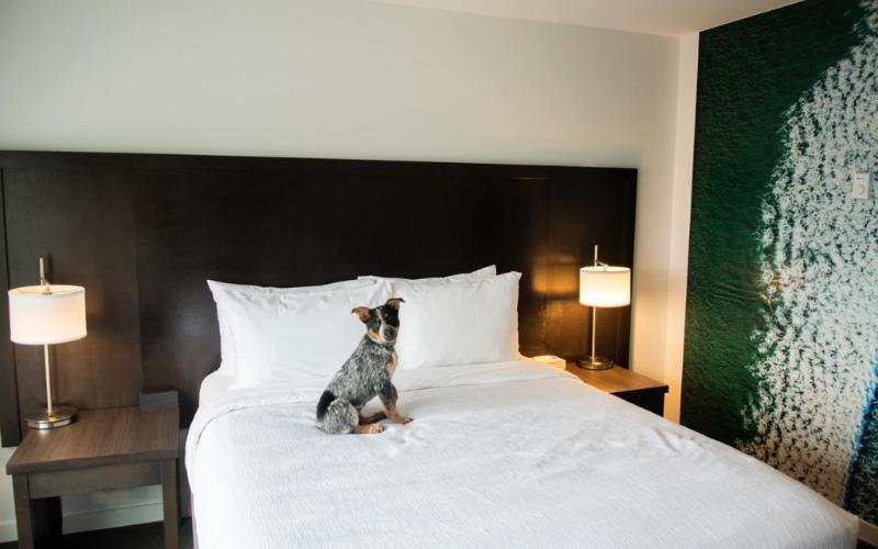Tofino Resort + Marina Zewnętrze zdjęcie
