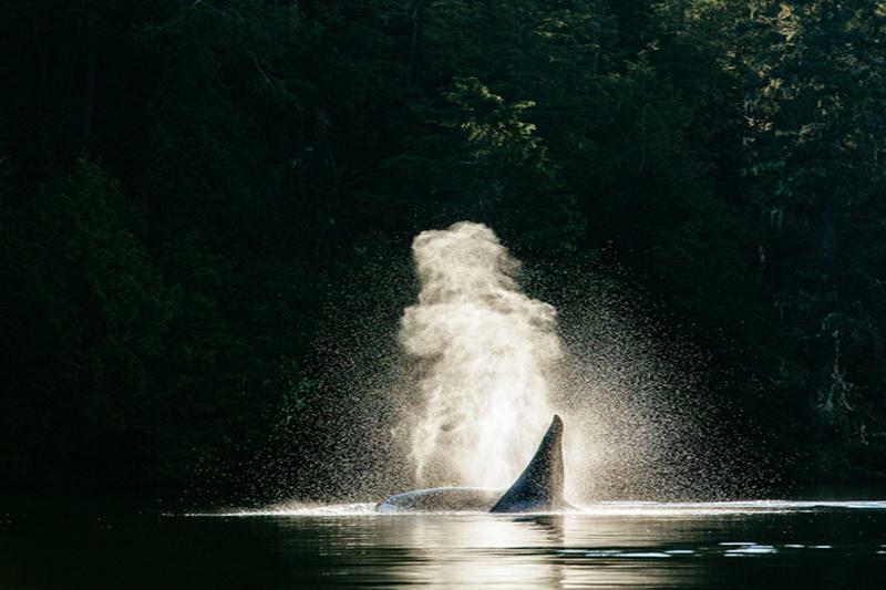 Tofino Resort + Marina Zewnętrze zdjęcie
